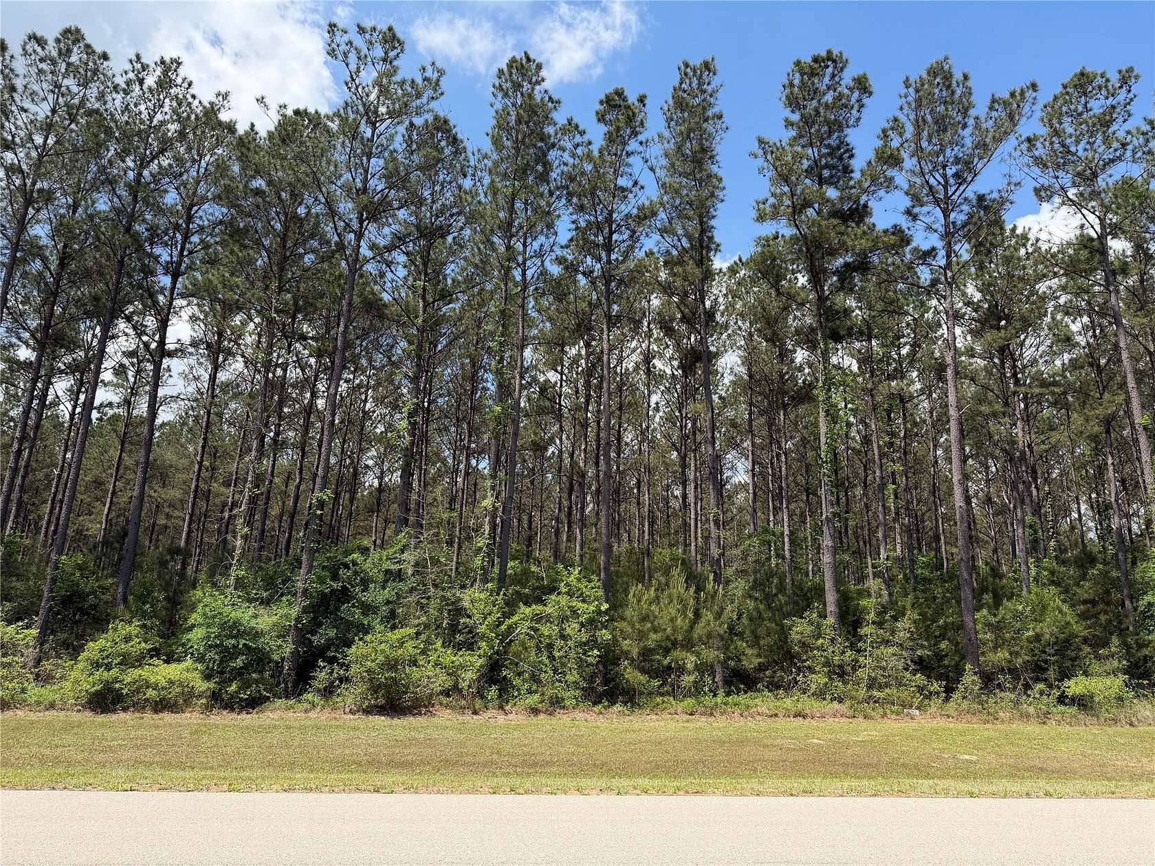 2.5 Acres of Land for Sale in Willis, Texas