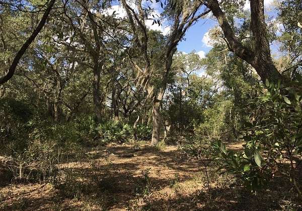 0.8 Acres of Residential Land for Sale in Inverness, Florida