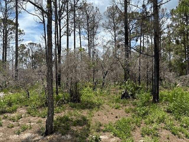 0.21 Acres of Residential Land for Sale in Lake Placid, Florida