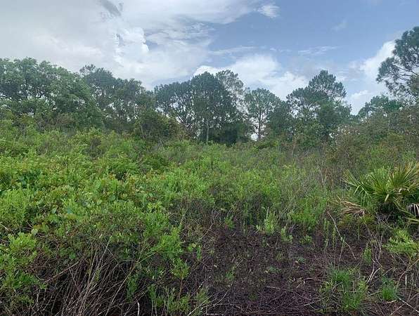 0.23 Acres of Residential Land for Sale in Sebring, Florida