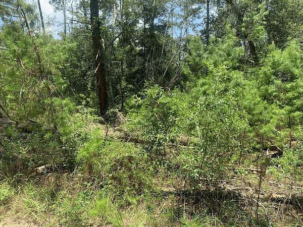 0.25 Acres of Land for Sale in Satsuma, Florida
