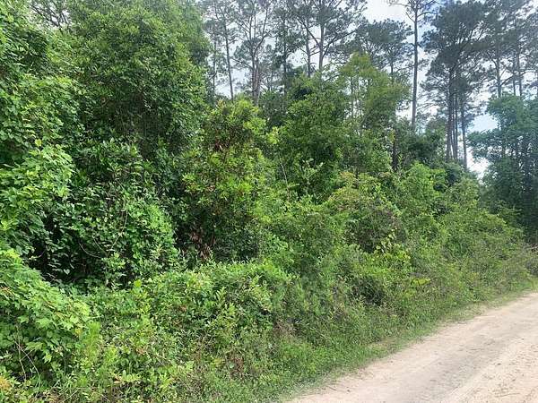 0.26 Acres of Residential Land for Sale in Satsuma, Florida