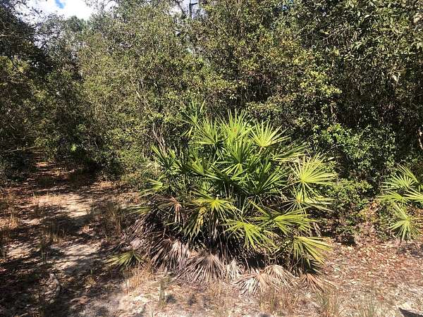 0.22 Acres of Land for Sale in Interlachen, Florida