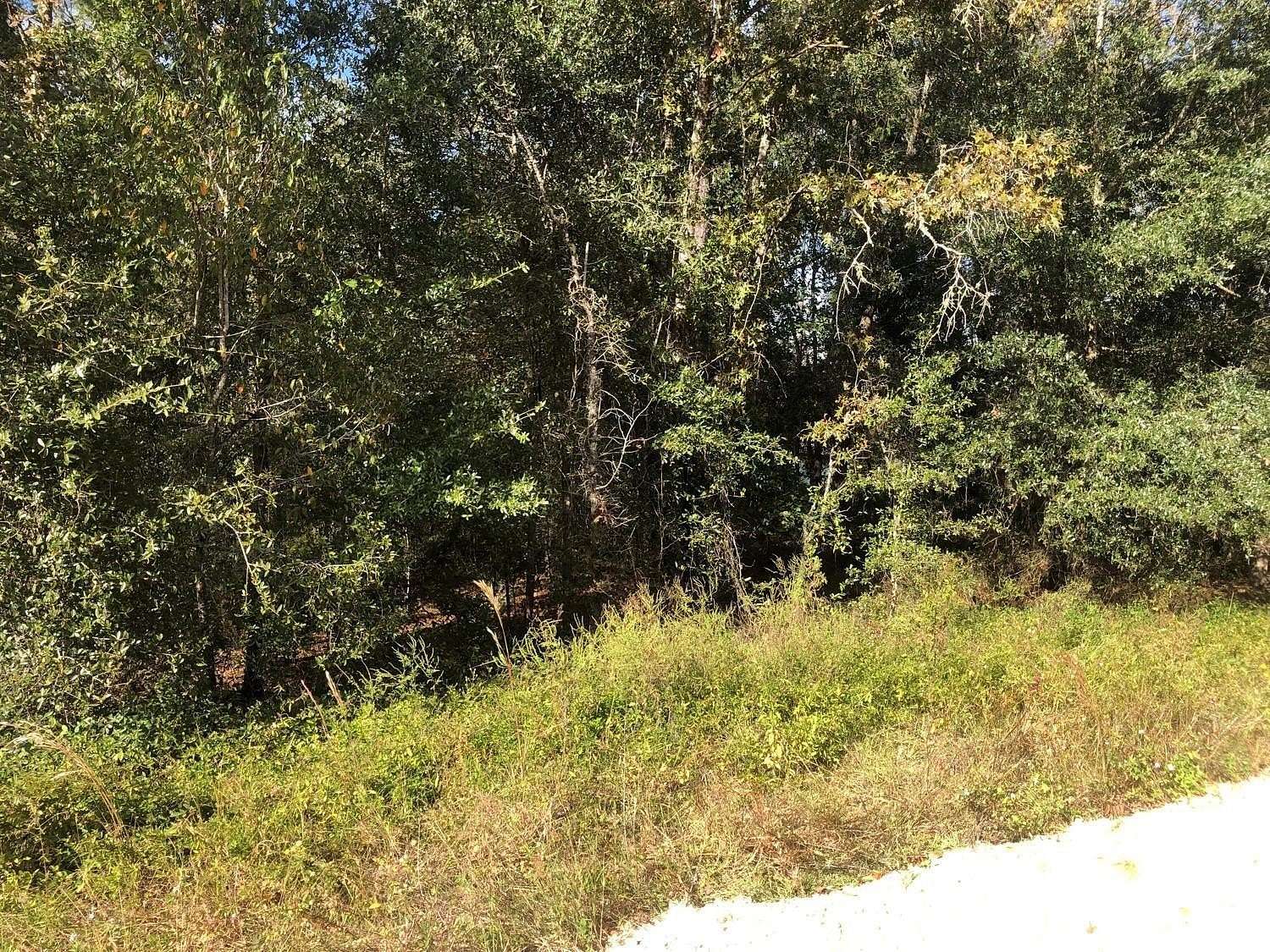 0.22 Acres of Residential Land for Sale in Interlachen, Florida