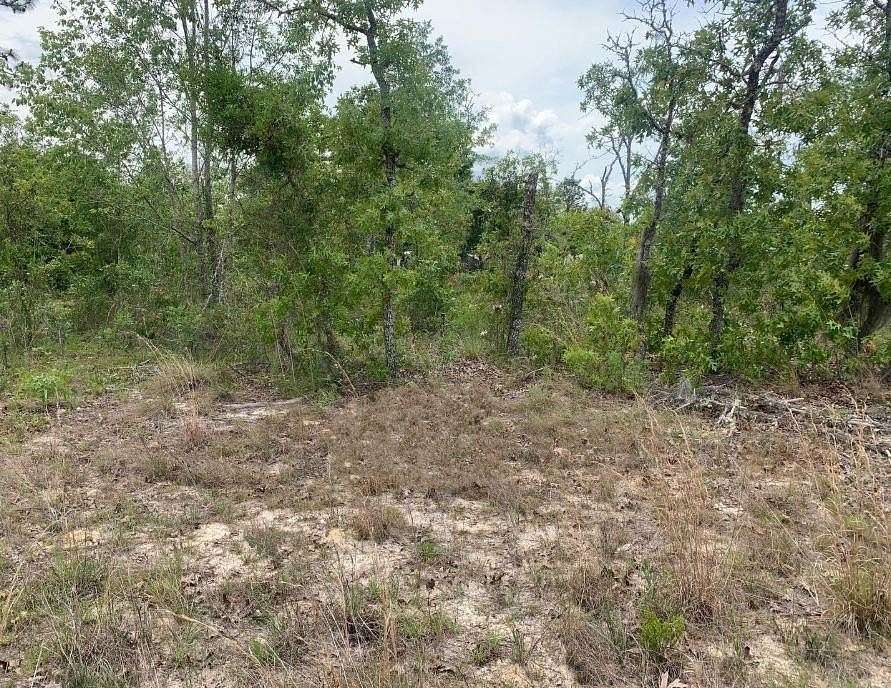 0.22 Acres of Residential Land for Sale in Interlachen, Florida