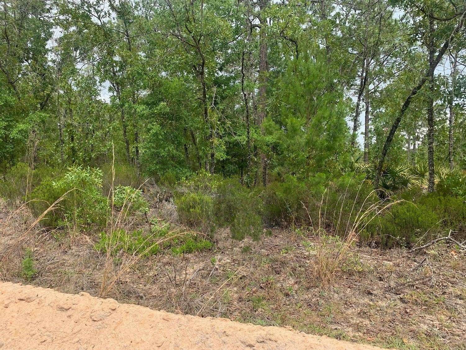 0.22 Acres of Residential Land for Sale in Interlachen, Florida