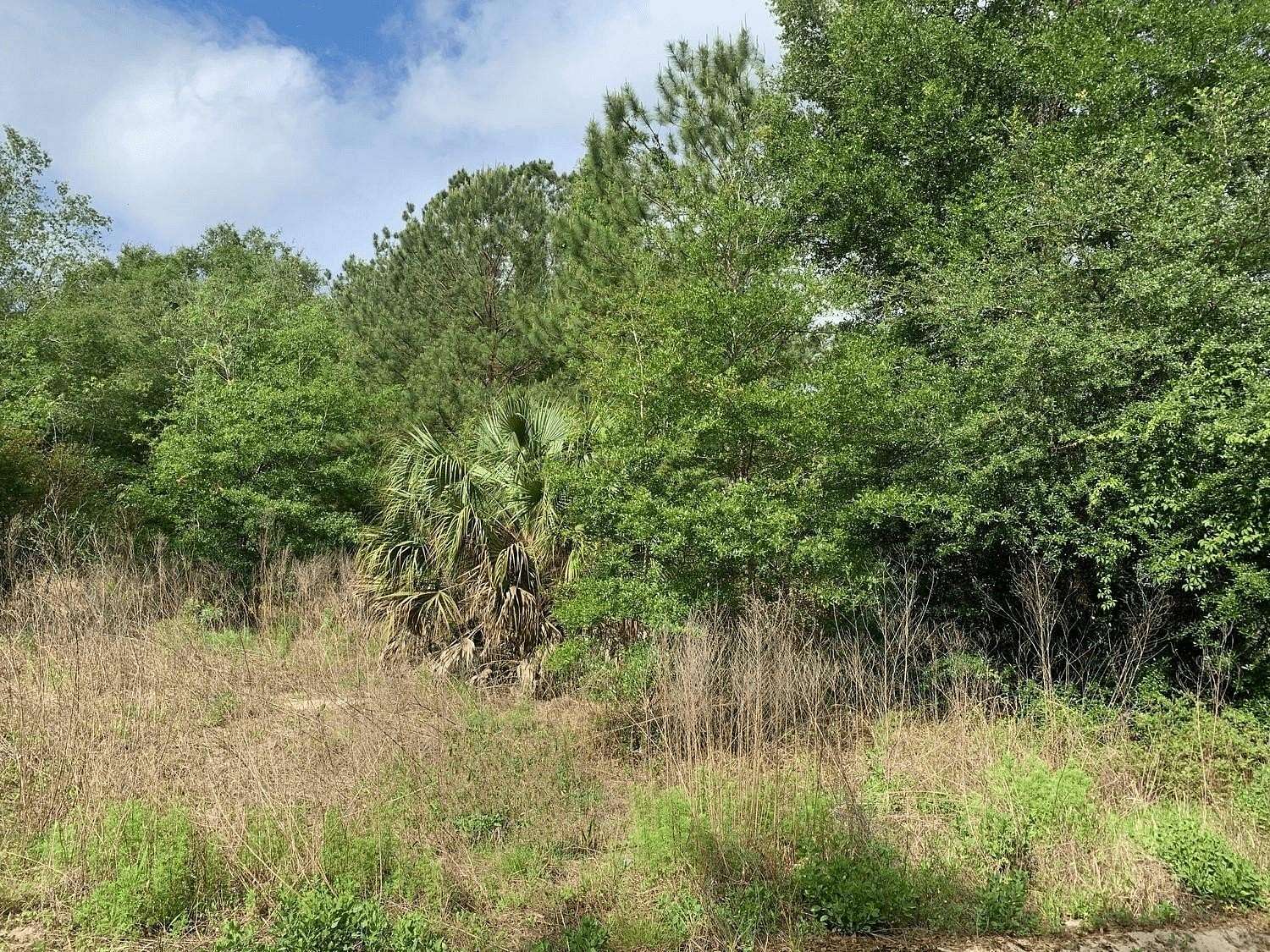 0.22 Acres of Land for Sale in Interlachen, Florida