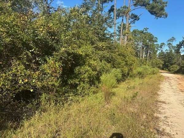 1.1 Acres of Residential Land for Sale in Marianna, Florida