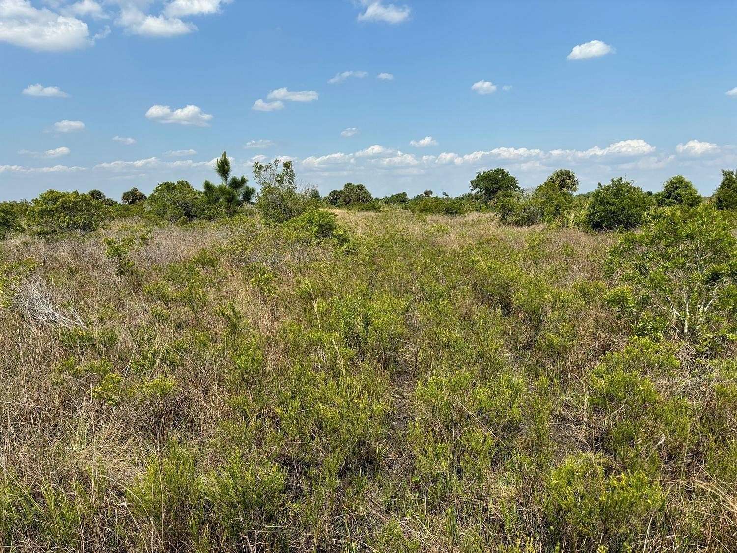 5 Acres of Land for Sale in Okeechobee, Florida