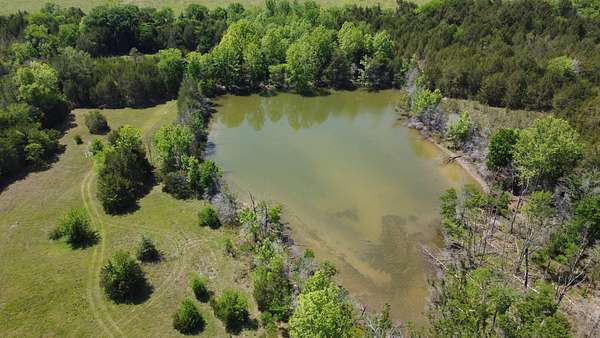 16 Acres of Recreational & Residential Land for Sale in Hayneville, Alabama