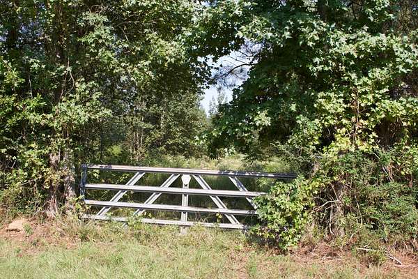 17.1 Acres of Land for Sale in Omaha, Texas