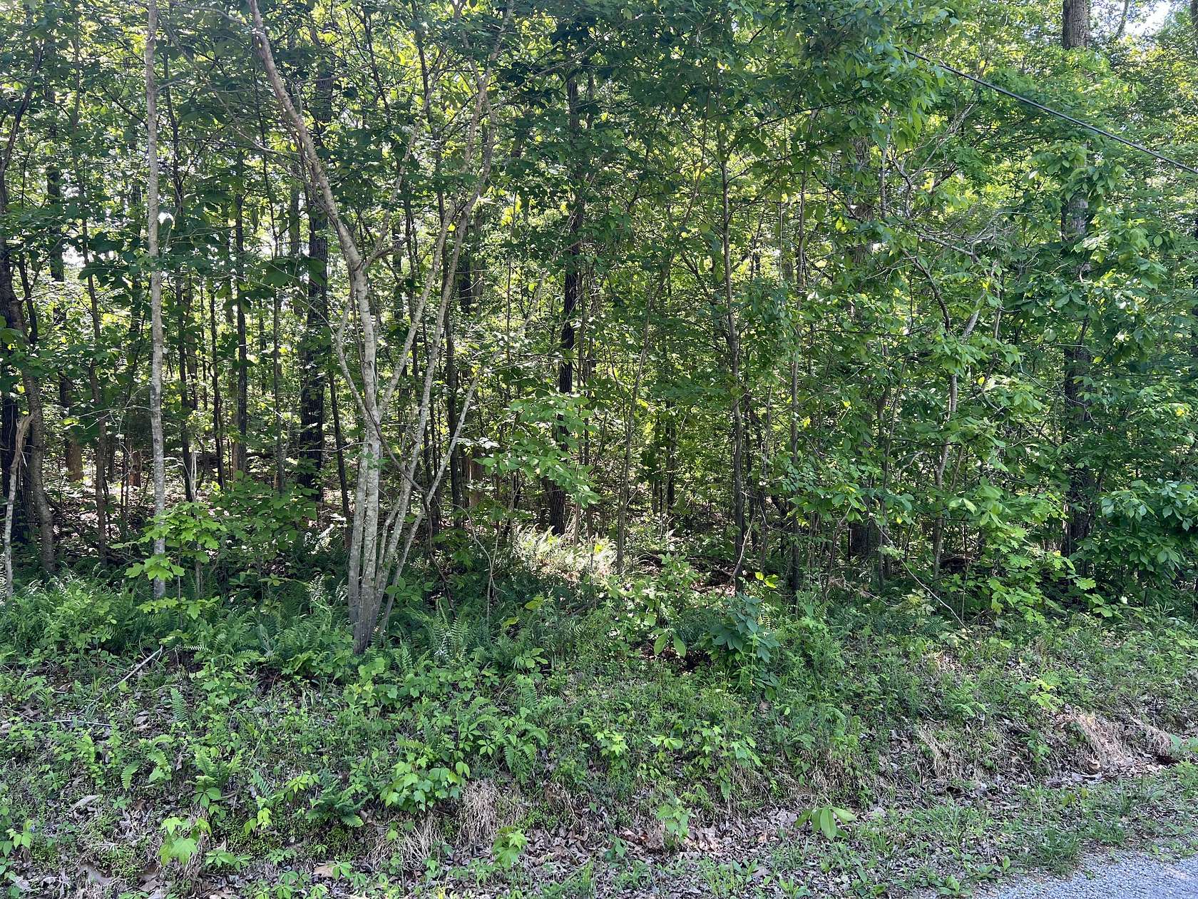 0.5 Acres of Residential Land for Sale in Buchanan, Tennessee