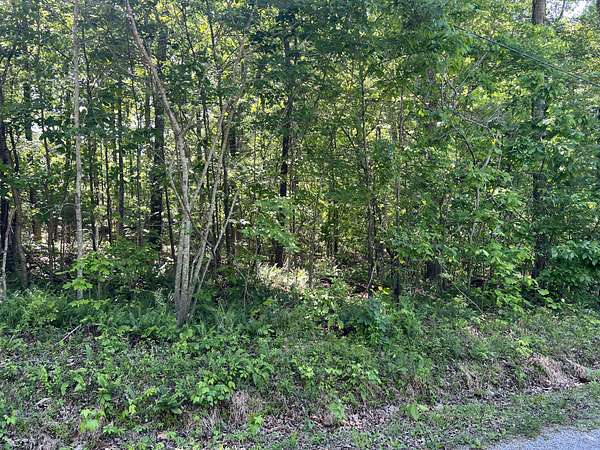 0.5 Acres of Residential Land for Sale in Buchanan, Tennessee