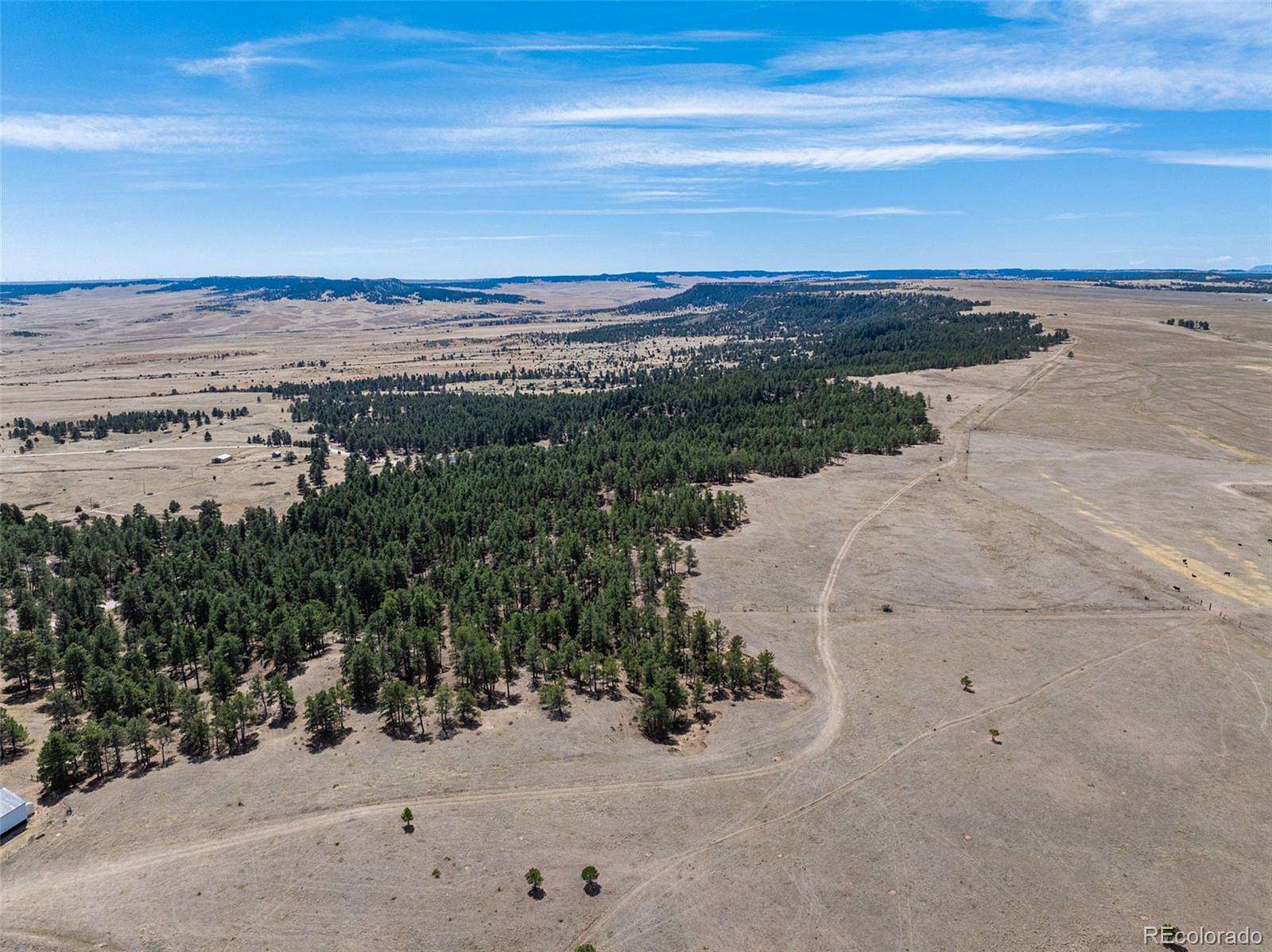 39.5 Acres of Land for Sale in Elbert, Colorado