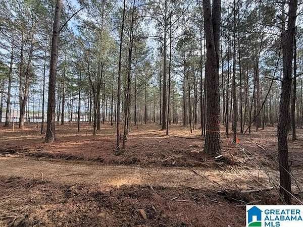 2 Acres of Residential Land for Sale in Sylacauga, Alabama