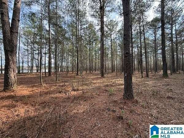 5 Acres of Residential Land for Sale in Sylacauga, Alabama