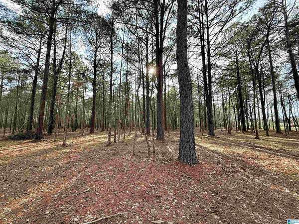 16.8 Acres of Land for Sale in Sylacauga, Alabama