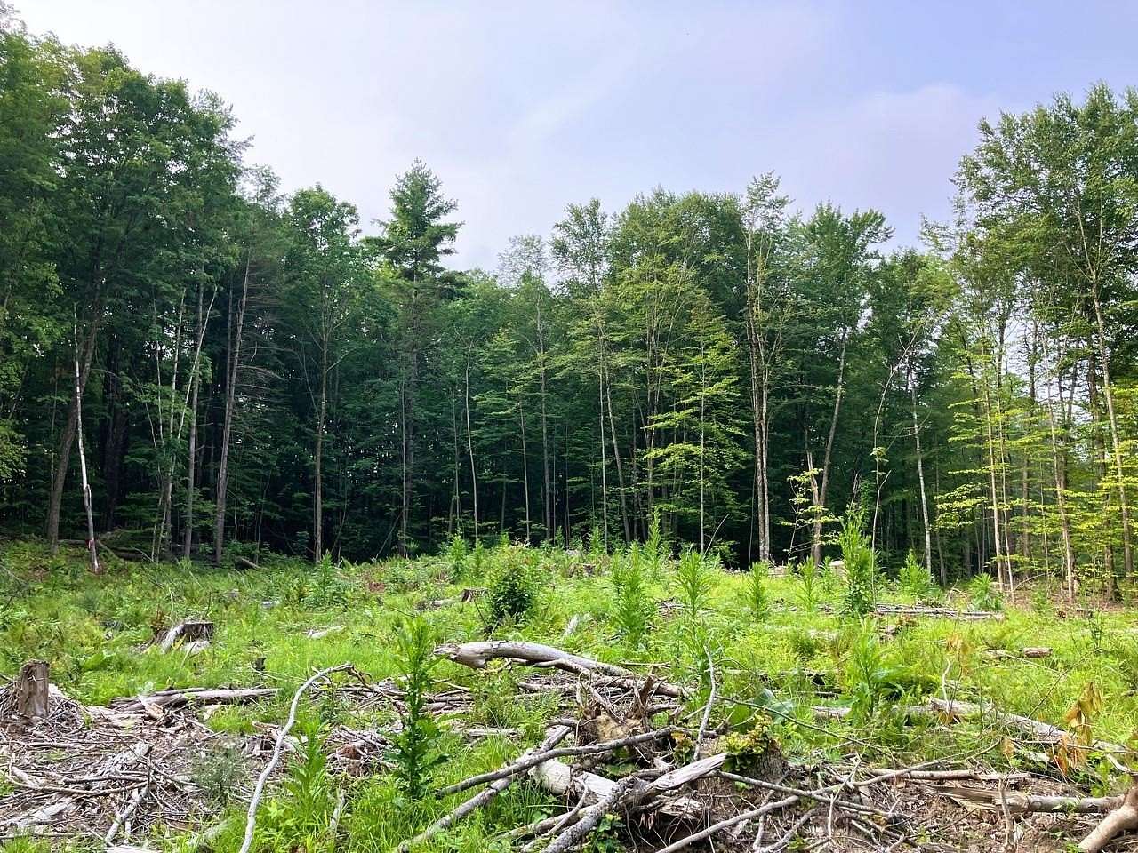 2.89 Acres of Residential Land for Sale in Leicester, Vermont
