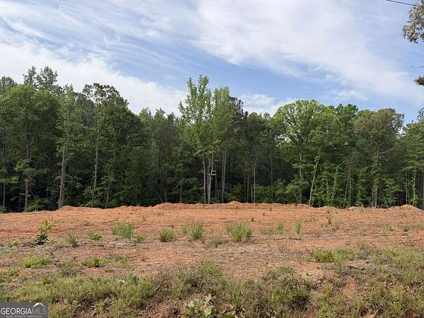 8.4 Acres of Residential Land for Sale in Forsyth, Georgia