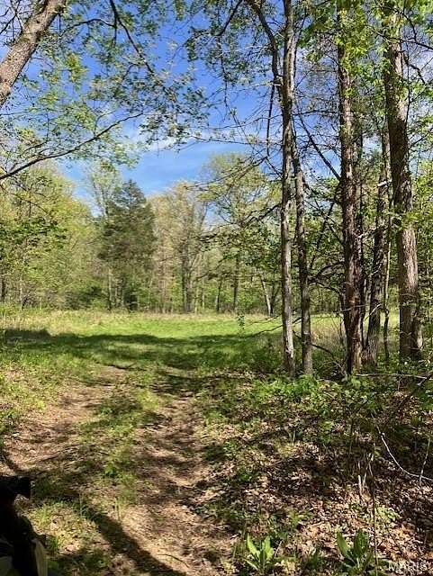 45.1 Acres of Recreational & Residential Land for Sale in Potosi, Missouri
