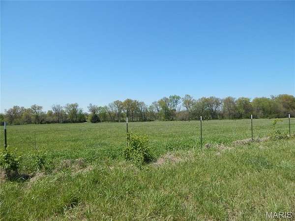20 Acres of Agricultural Land for Sale in Bowling Green, Missouri