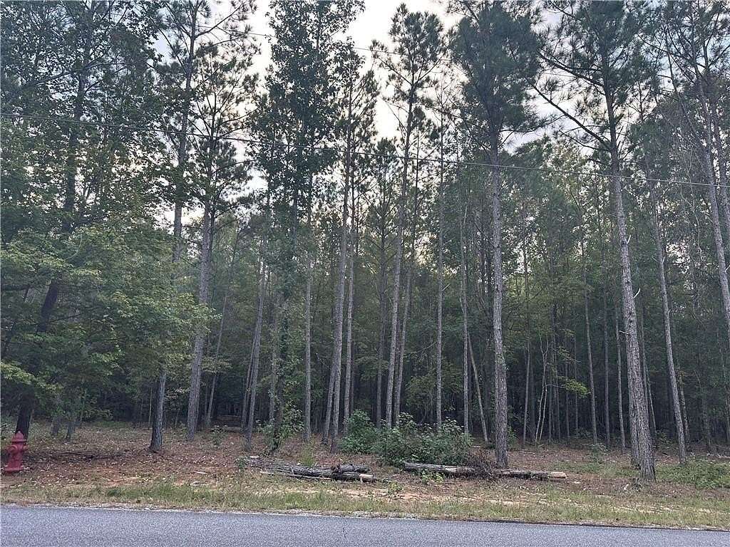 12.5 Acres of Land for Sale in Smiths Station, Alabama