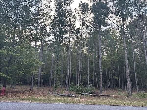 12.5 Acres of Land for Sale in Smiths Station, Alabama