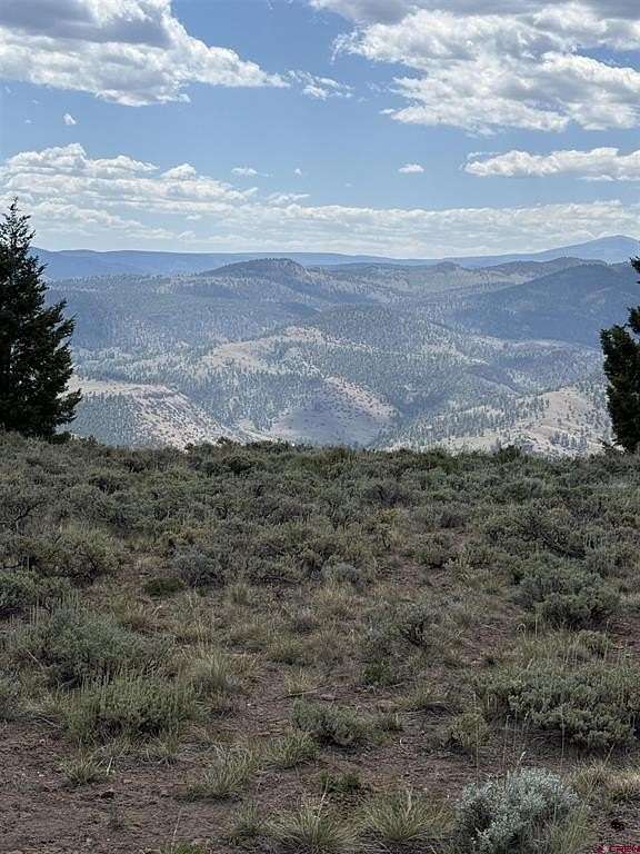 4 Acres of Residential Land for Sale in Powderhorn, Colorado