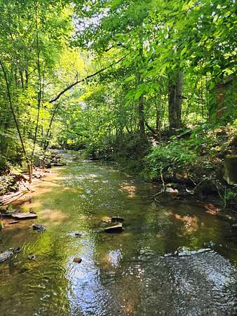 37 Acres of Land with Home for Sale in Charlotte, Tennessee