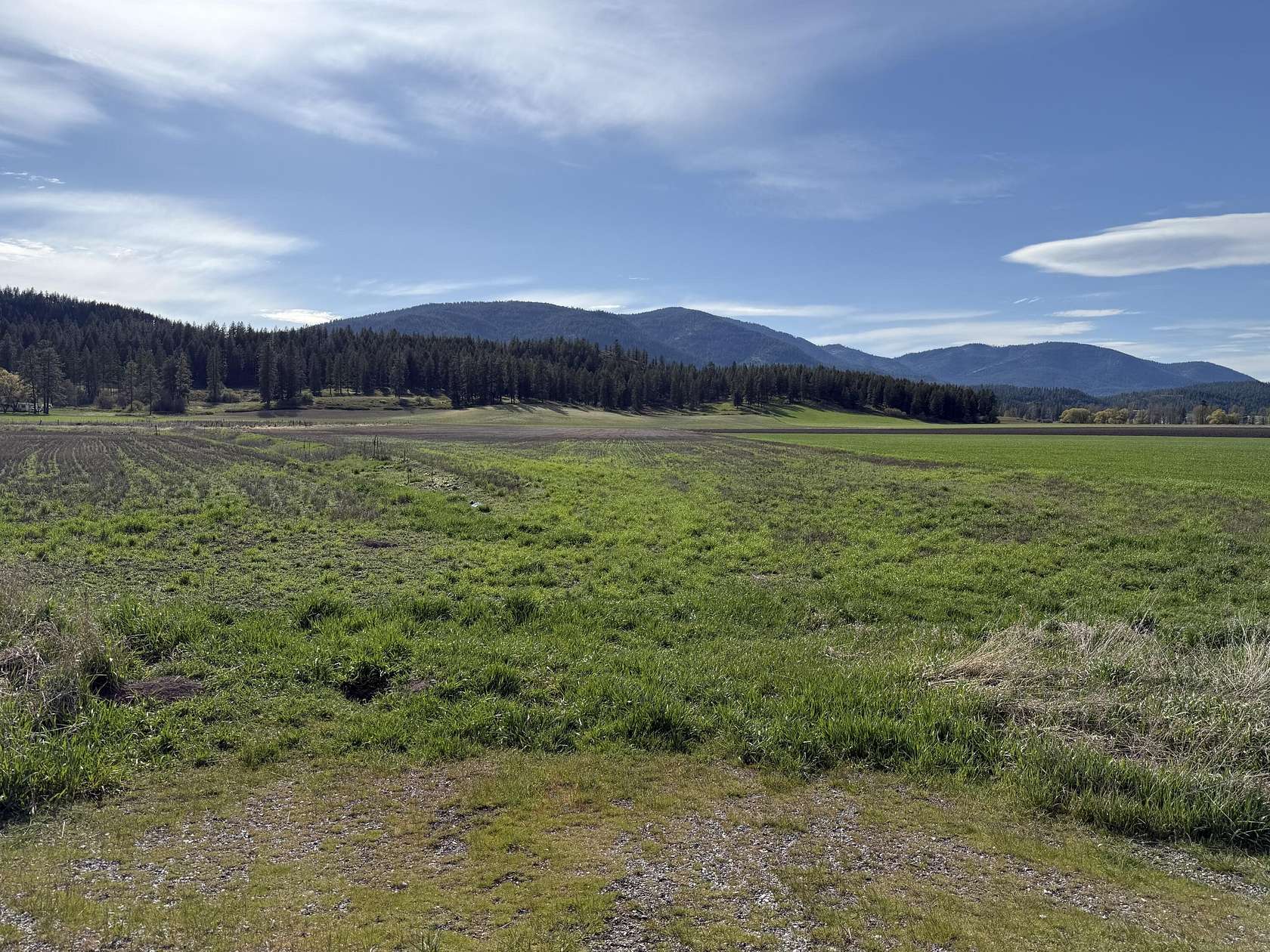 17 Acres of Land for Sale in Addy, Washington