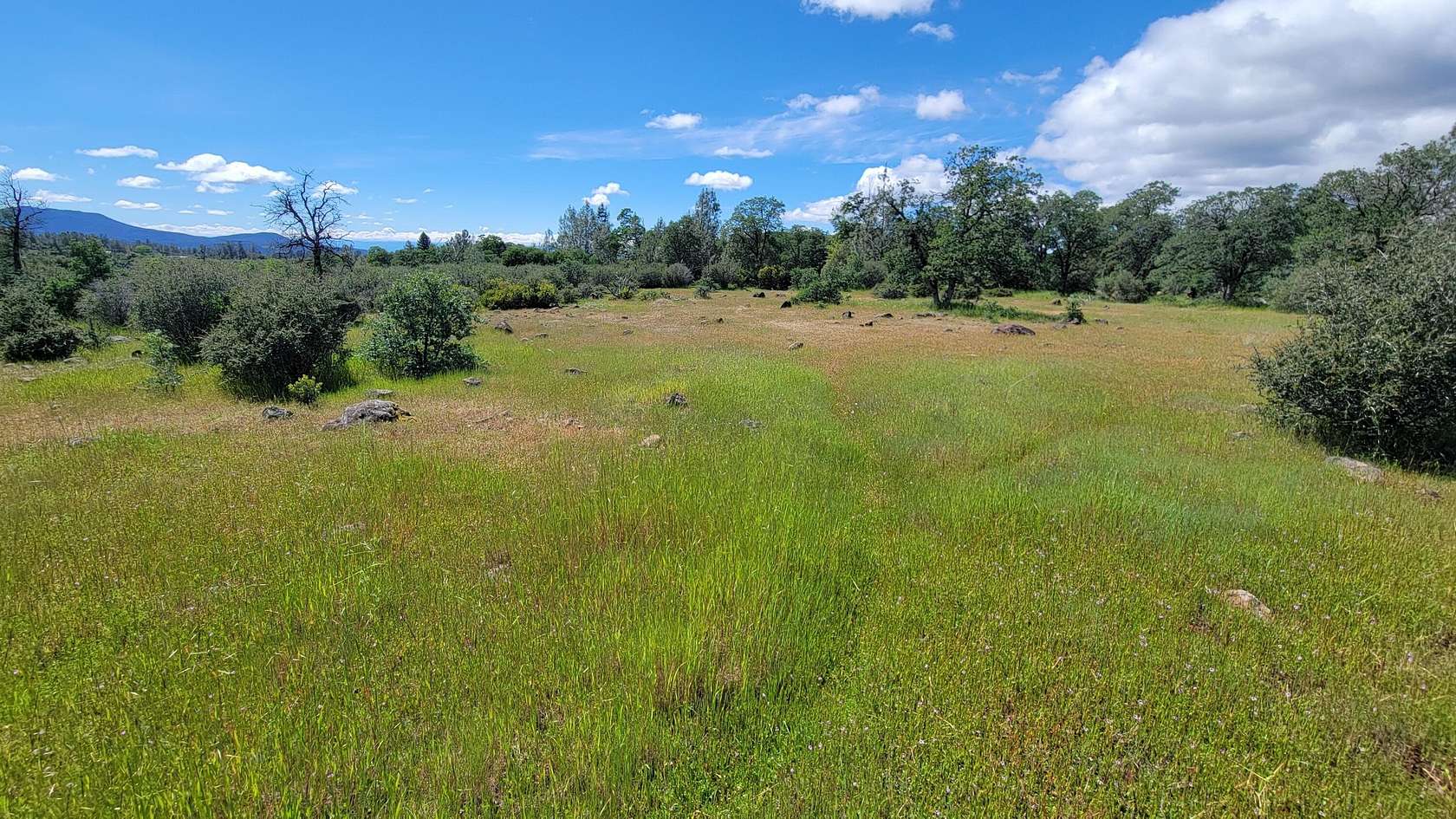8.69 Acres of Land for Sale in Manton, California