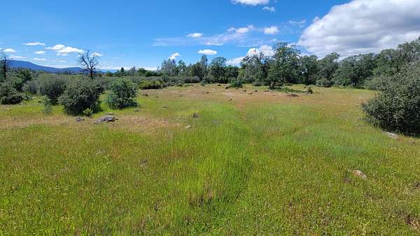 8.69 Acres of Land for Sale in Manton, California