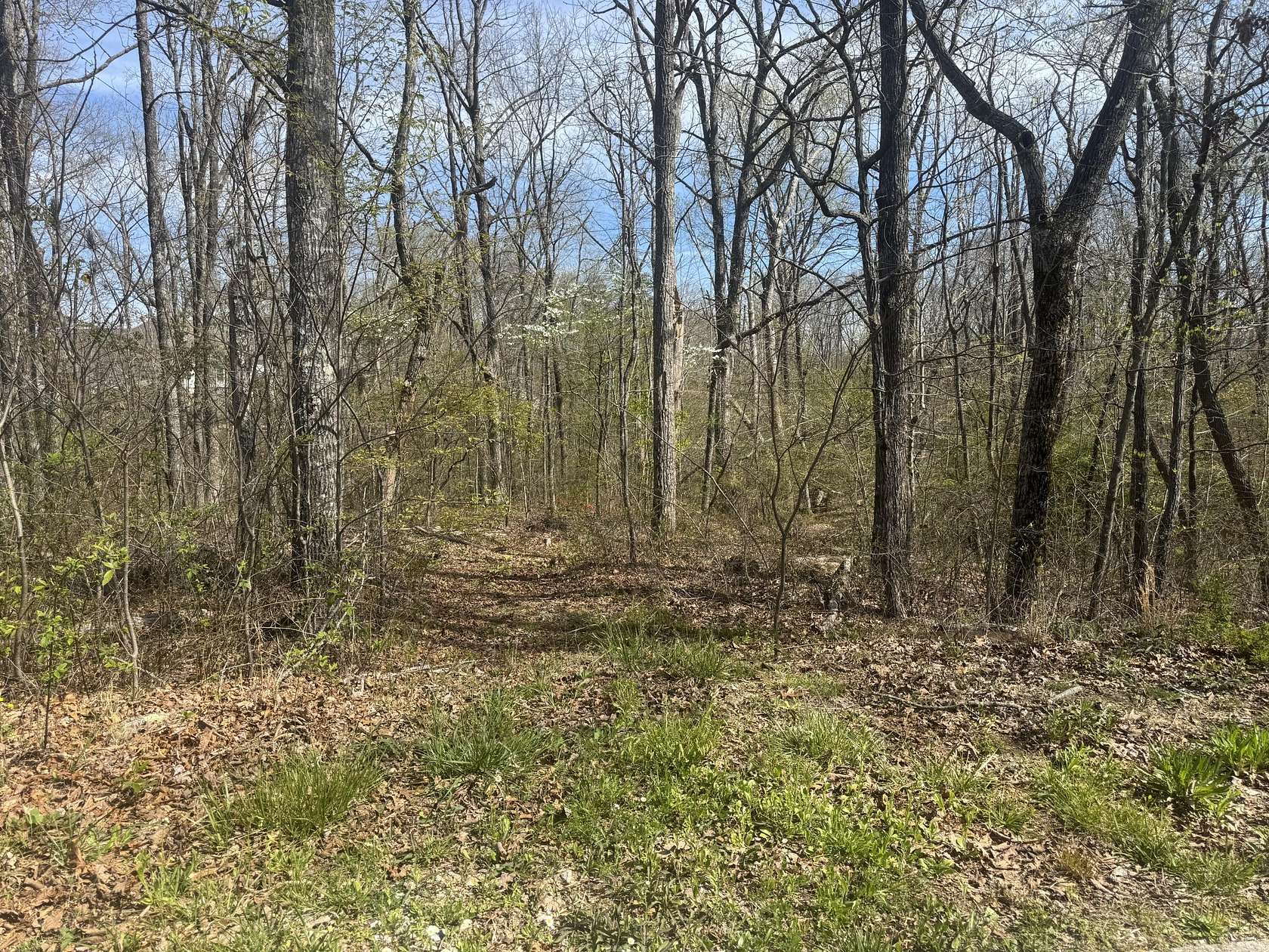 2 Acres of Residential Land for Sale in Signal Mountain, Tennessee