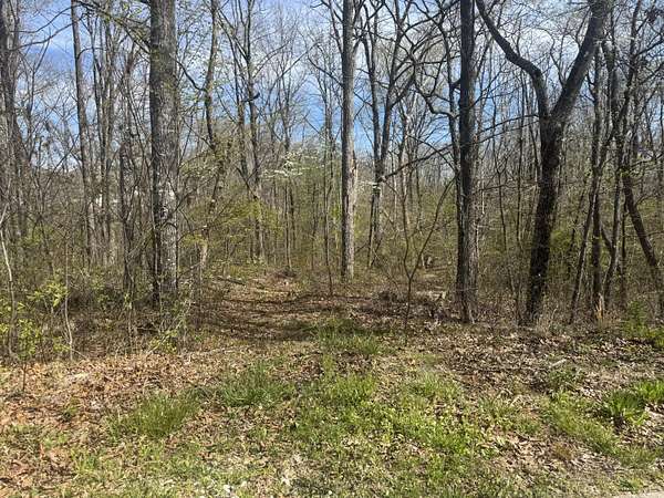 2 Acres of Residential Land for Sale in Signal Mountain, Tennessee