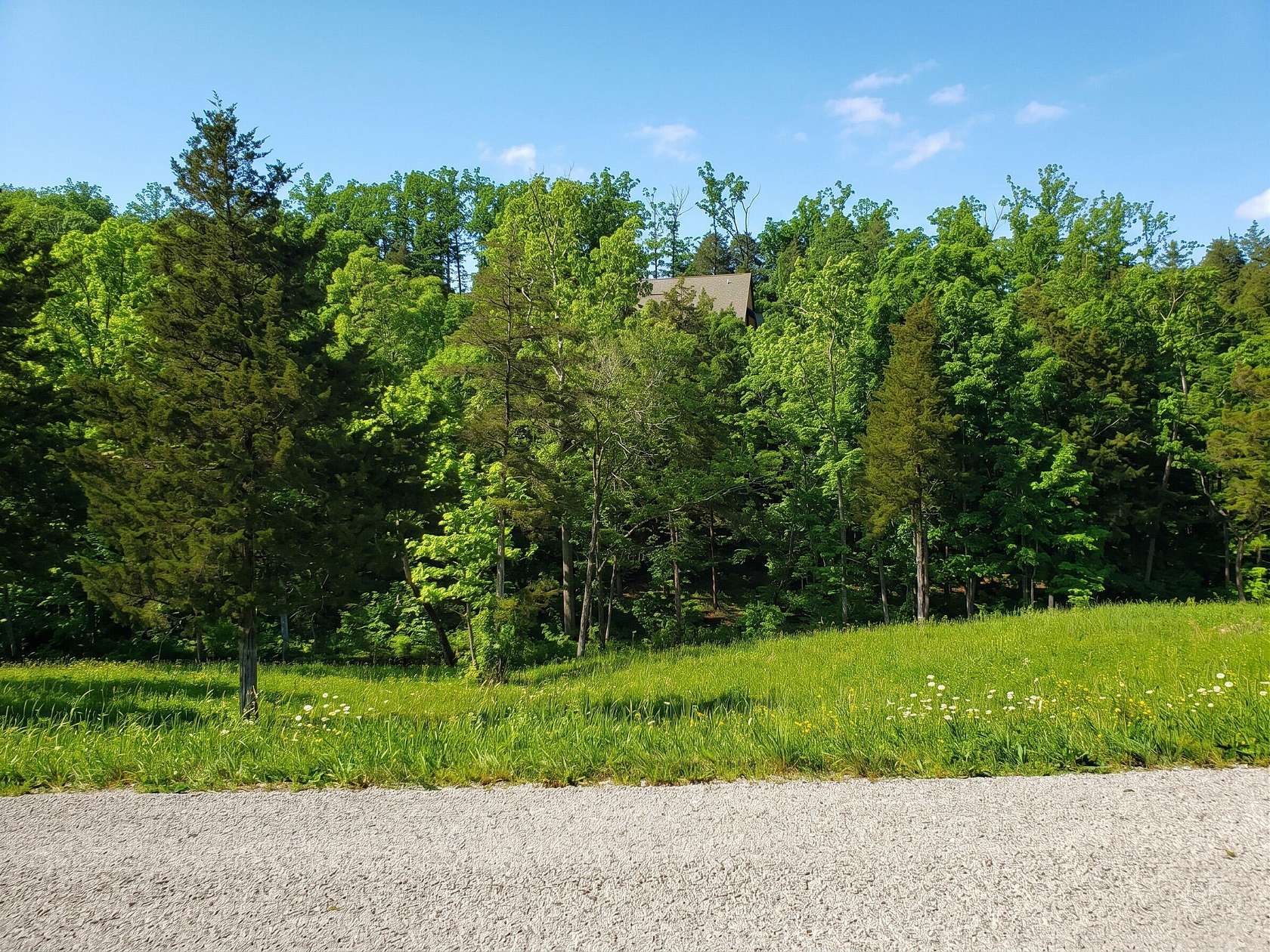 1.1 Acres of Residential Land for Sale in Saddlebrooke, Missouri