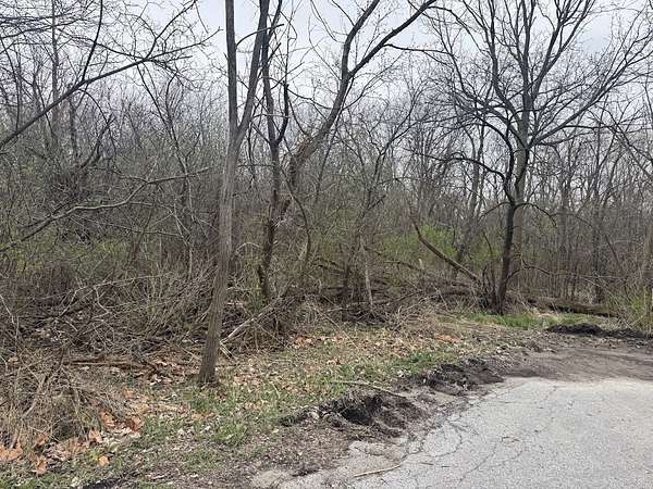0.58 Acres of Residential Land for Sale in Steger, Illinois