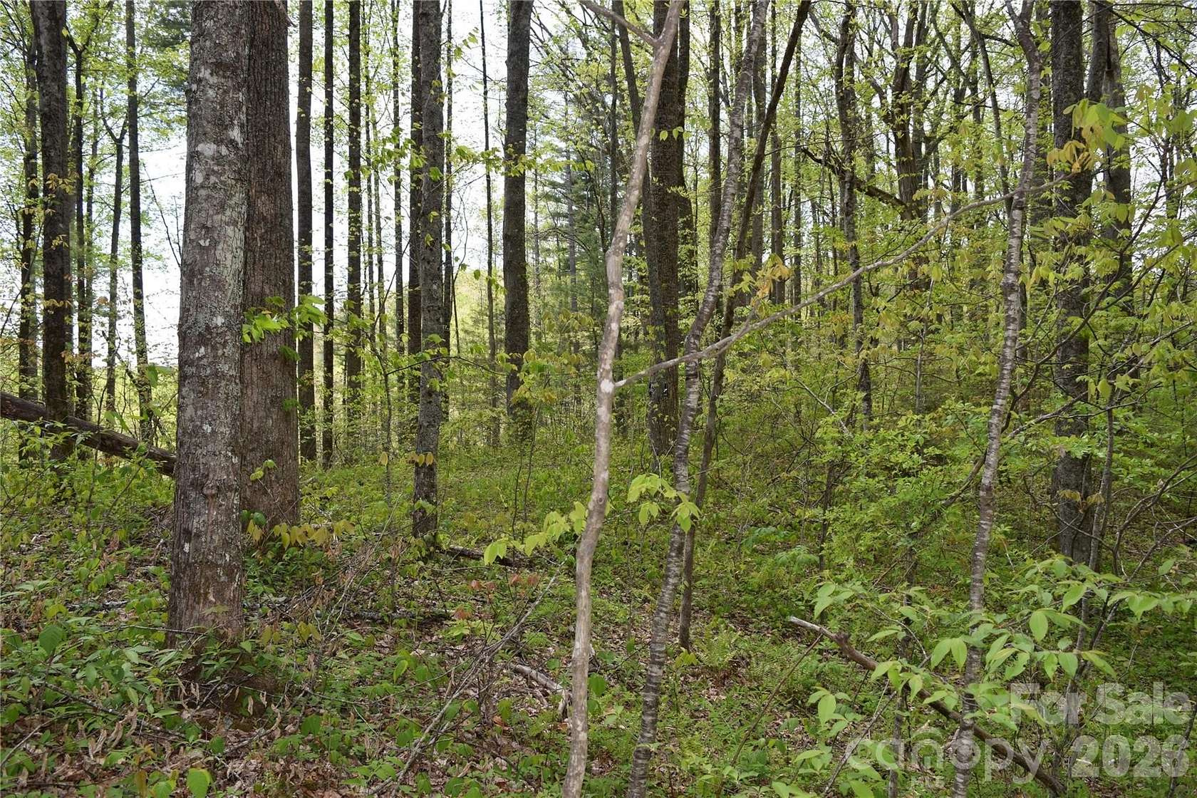 2.72 Acres of Residential Land for Sale in Balsam, North Carolina