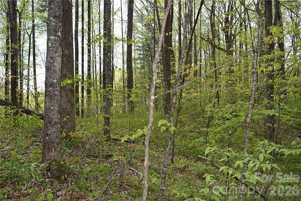 2.72 Acres of Residential Land for Sale in Balsam, North Carolina