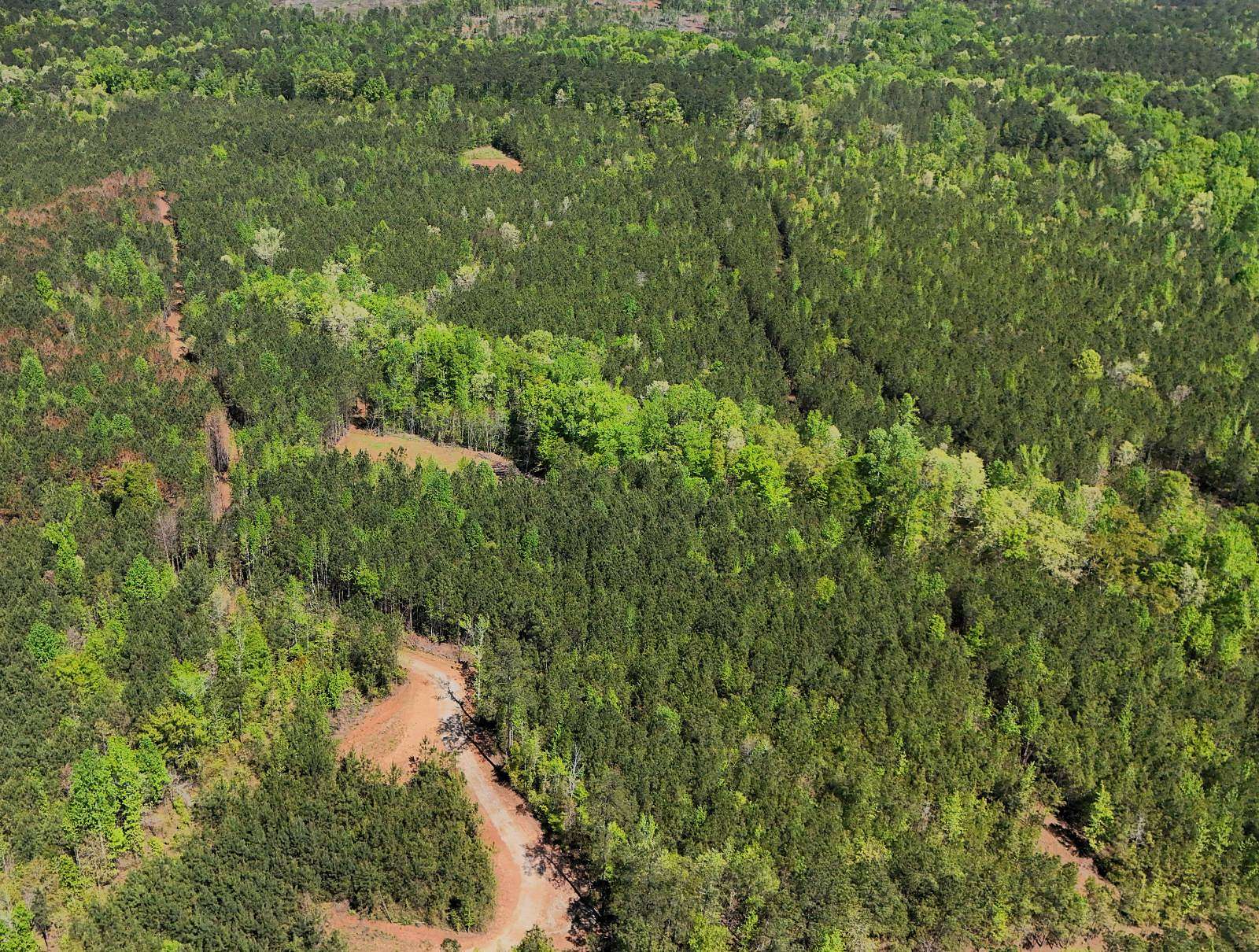 28 Acres of Recreational & Residential Land for Sale in Salem, Alabama