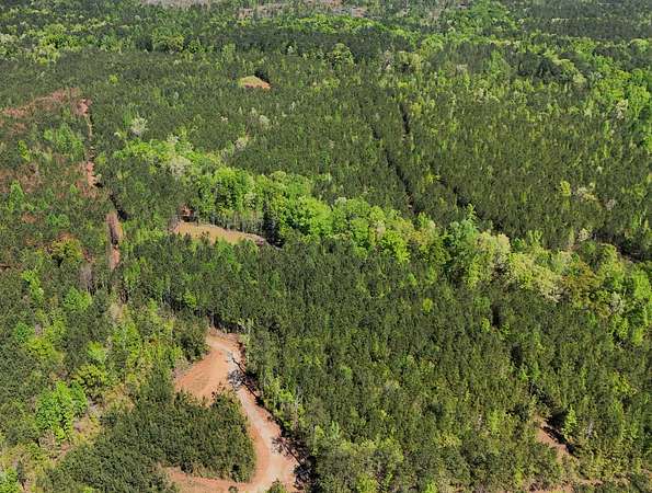 28 Acres of Recreational & Residential Land for Sale in Salem, Alabama