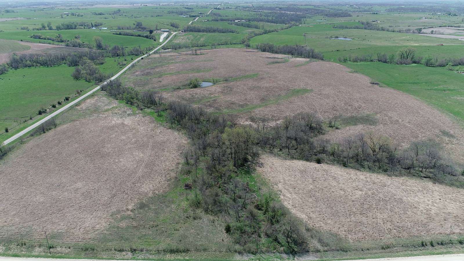 76 Acres of Agricultural Land for Sale in Kellerton, Iowa