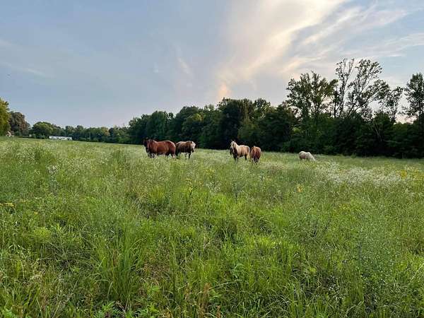 39 Acres of Agricultural & Residential Land for Sale in Decherd, Tennessee