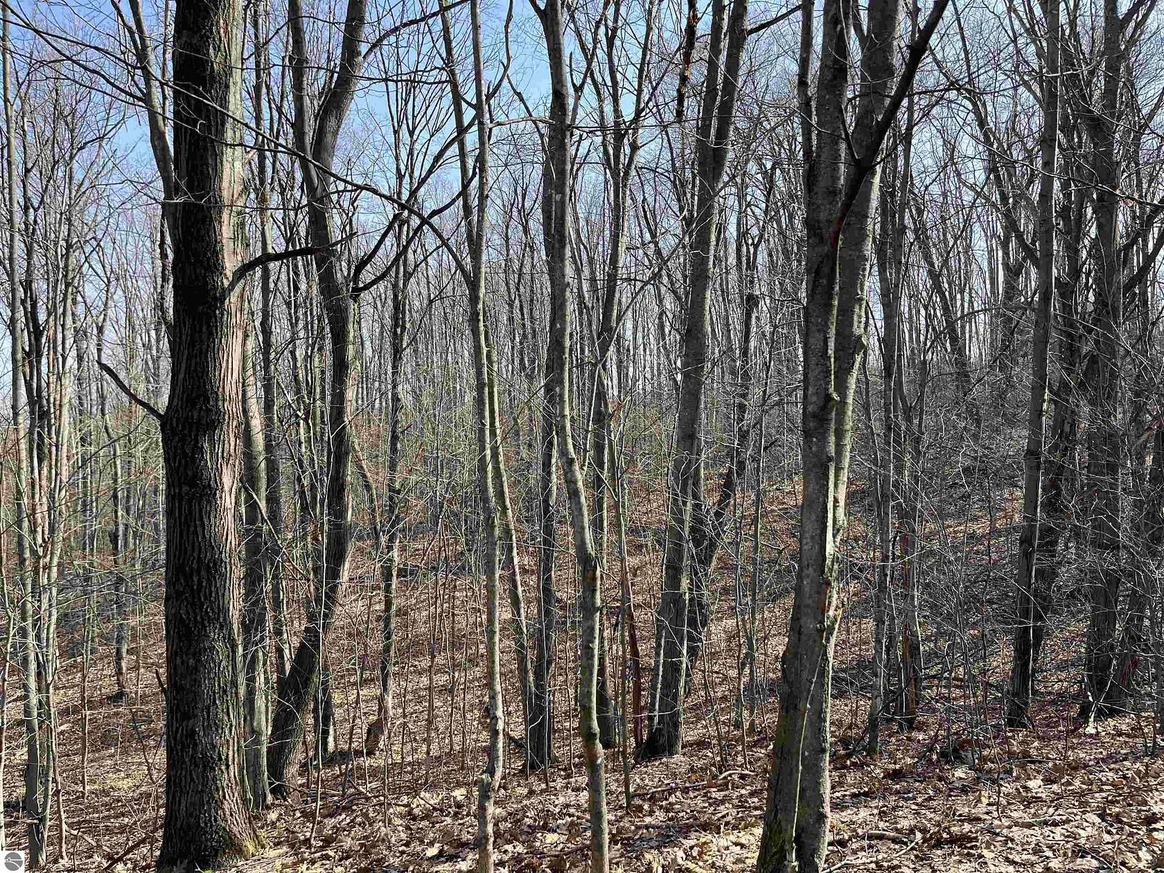 5.6 Acres of Residential Land for Sale in Boyne Falls, Michigan