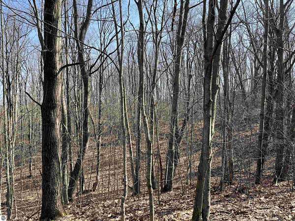 5.6 Acres of Residential Land for Sale in Boyne Falls, Michigan