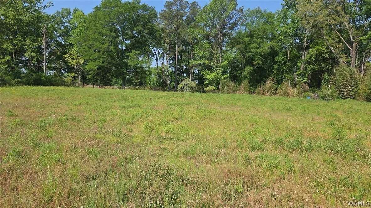 2 Acres of Residential Land for Sale in Vance, Alabama