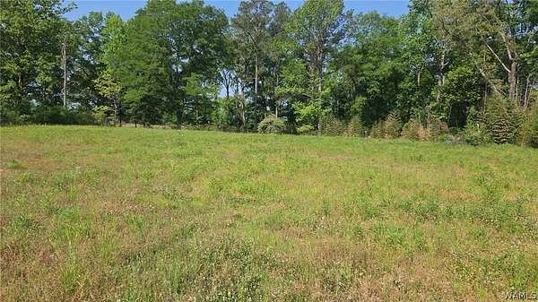 2 Acres of Residential Land for Sale in Vance, Alabama