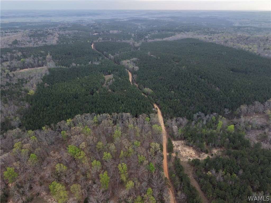 40 Acres of Land for Sale in Vina, Alabama