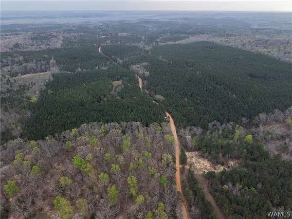 40 Acres of Land for Sale in Vina, Alabama