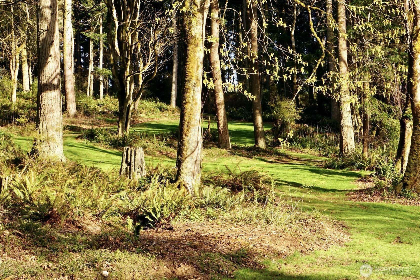 5 Acres of Residential Land for Sale in Clinton, Washington