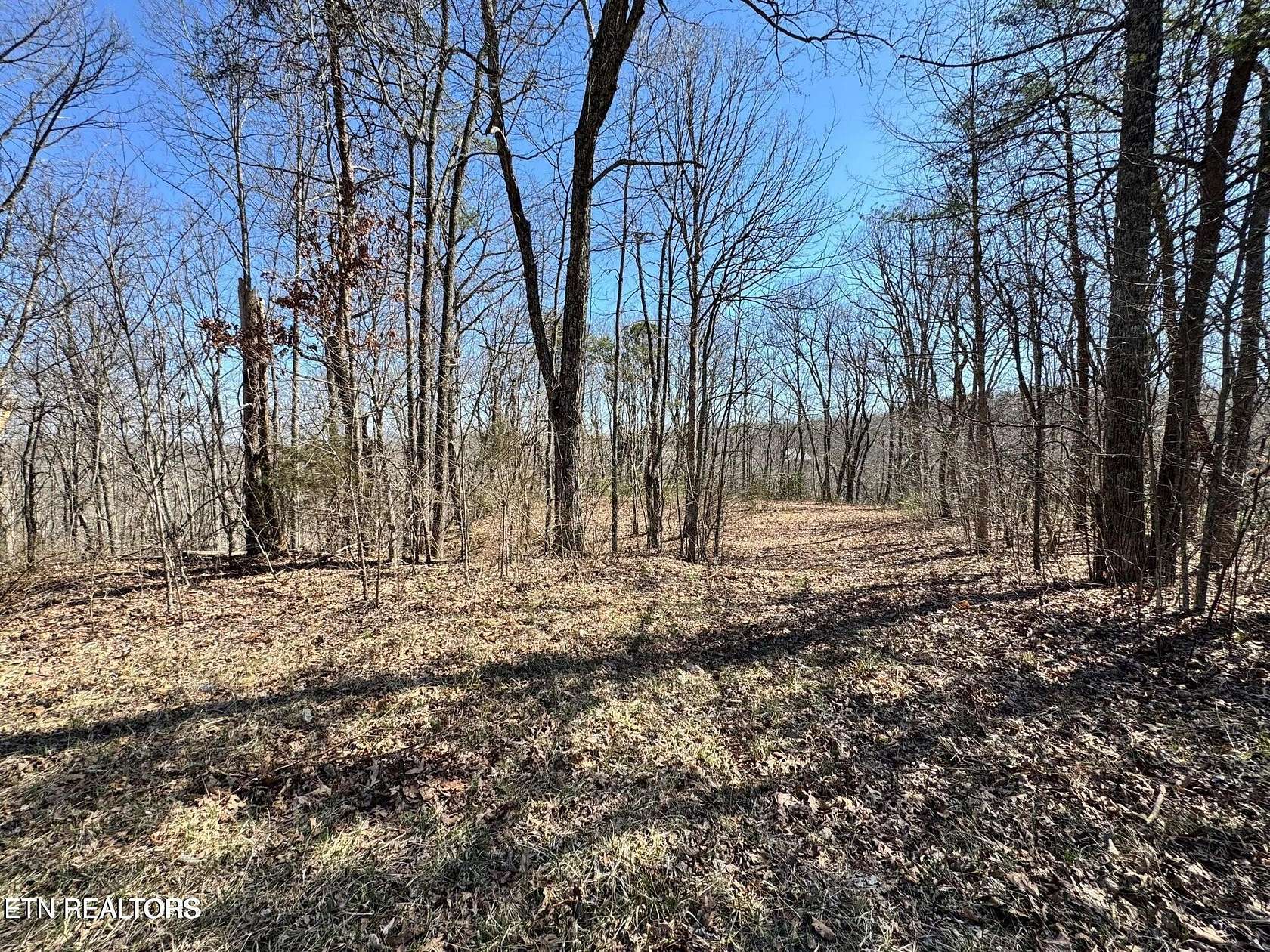 5.33 Acres of Residential Land for Sale in Crawford, Tennessee